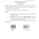 Tribunal de Disciplina Deportiva – Resolución n° 07/24